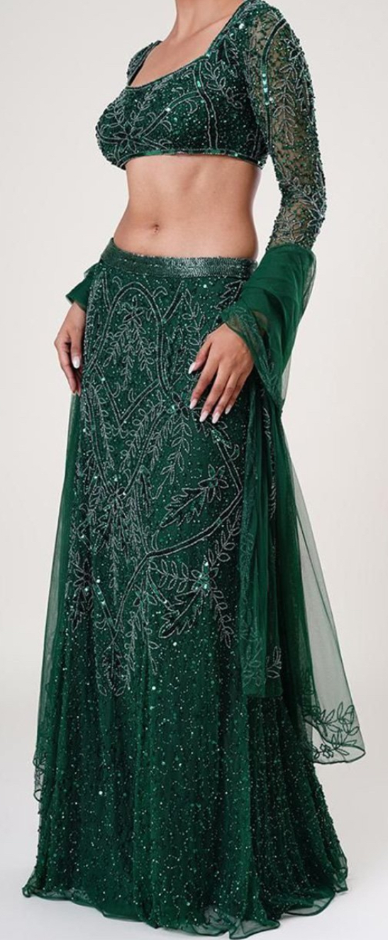 Designer Embroidered Lehenga