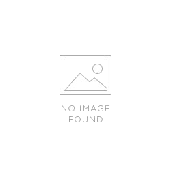 Natural Crepe Silk With Real Mirror Work Trouser Style Suit In Rust